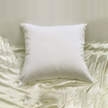 Down Pillows European size, square feather pillow